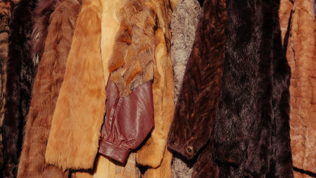 Manteaux & Vestes